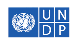 UNDP logo